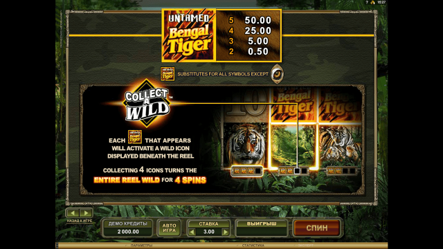 Untamed Bengal Tiger 5